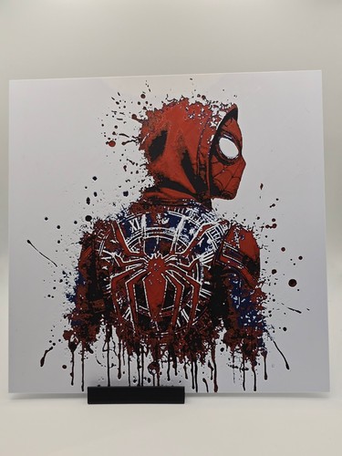 Spiderman printed wall art - printed,