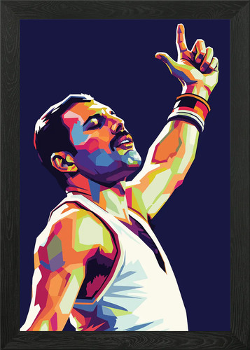 Freddie mercury pop - mercury, art